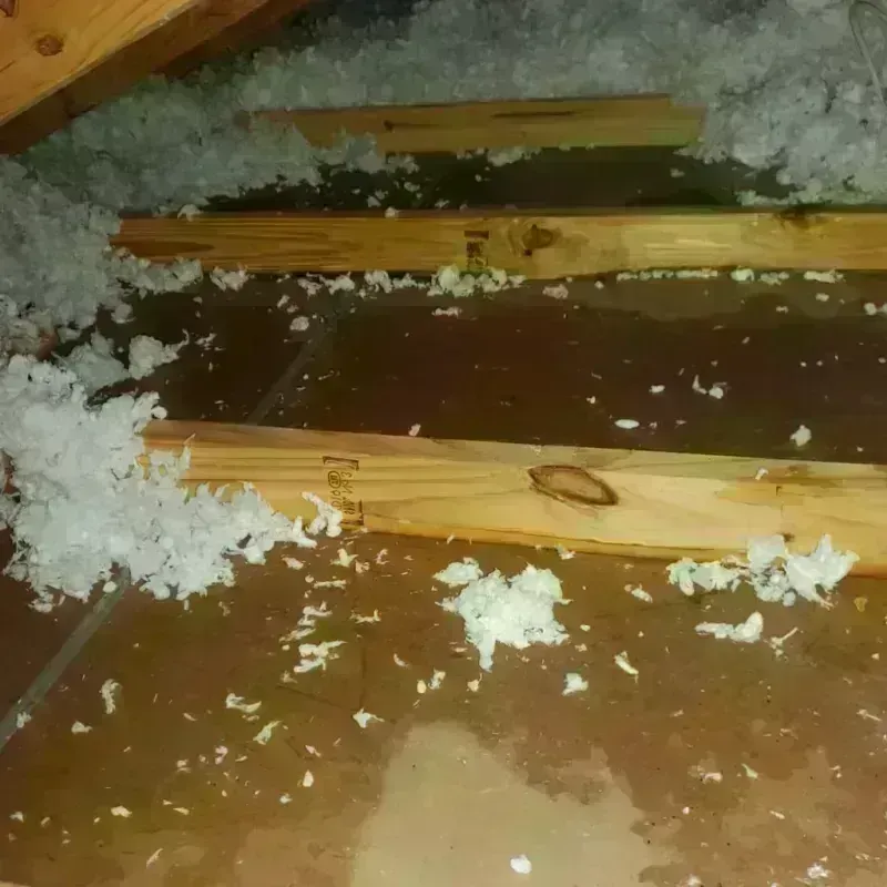 Attic Water Damage in Landis, NC